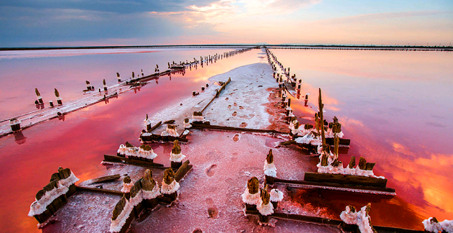Сасык-Сиваш в Крыму Сасык-Сиваш на отдыхе в поселке Прибрежное