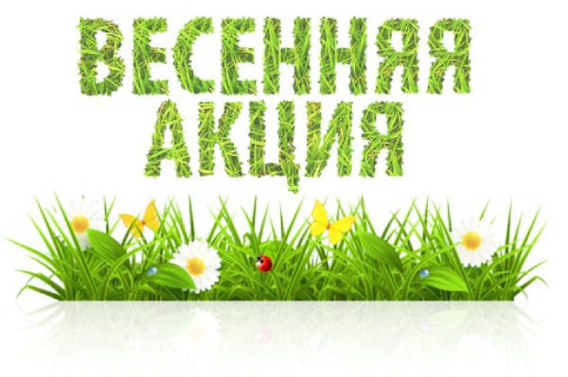 прибрежное в крыму цены на отдых