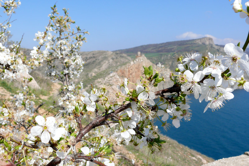 Клип на годовщину Крымской весны
